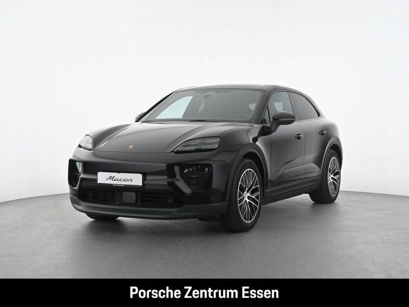 Macan