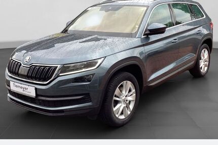 Skoda Kodiaq 90.672 km 24.360 € Gelsenkirchen 45888