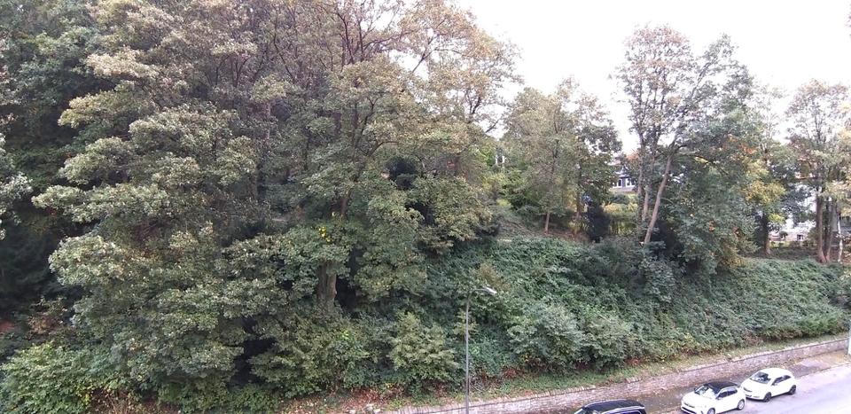 Dachgeschoßwohnung Wuppertal Gemarkung Elberfeld - 2 Zimmer, 60 m&sup2;, 575&euro; | Angebot:25753658