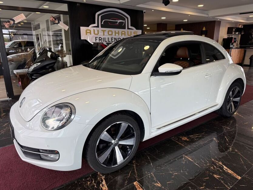 Beetle