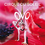 Lounge-Ticket - Cirque du Soleil - OVO