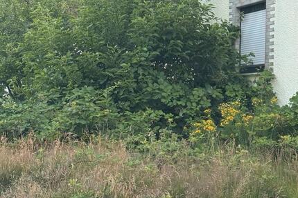 Einfamilienhaus zu vermieten - sanierungsbedürftig