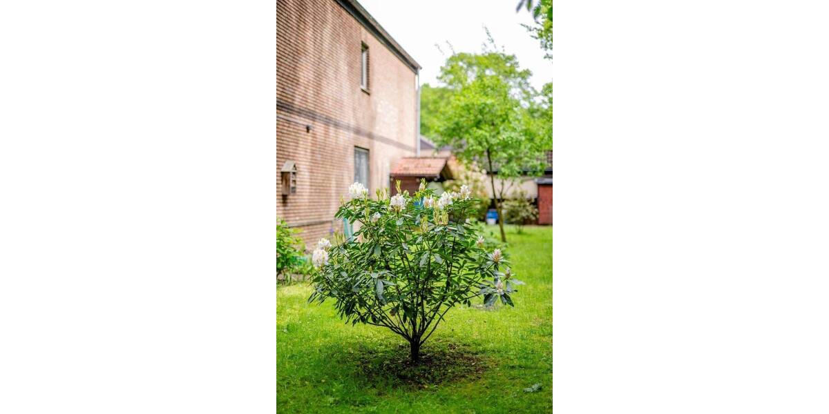 Reihenendhaus Marl Sickingmühle Hamm - 4 Zimmer, 113 m&sup2;, 379.000&euro; | Angebot:26909310
