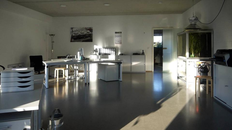 *** MODERNES GEWERBEOBJEKT MIT HALLE UND BÜROS ZU VERMIETEN! *** zimmer