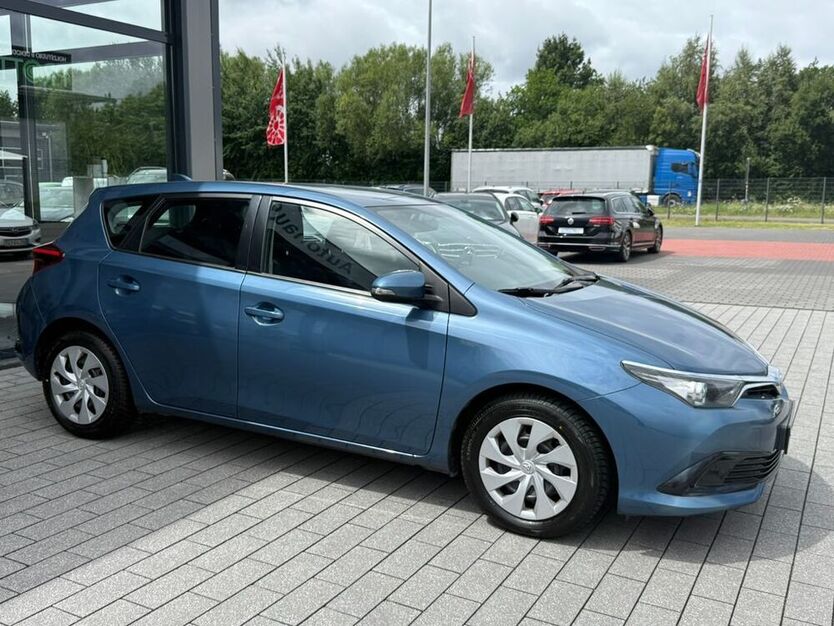 Auris