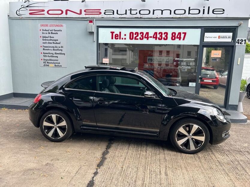 Beetle