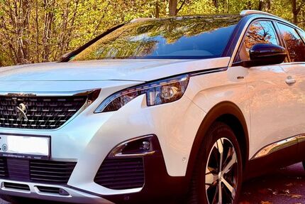 Peugeot 3008 86.600 km 19.000 &euro; Herten 45701