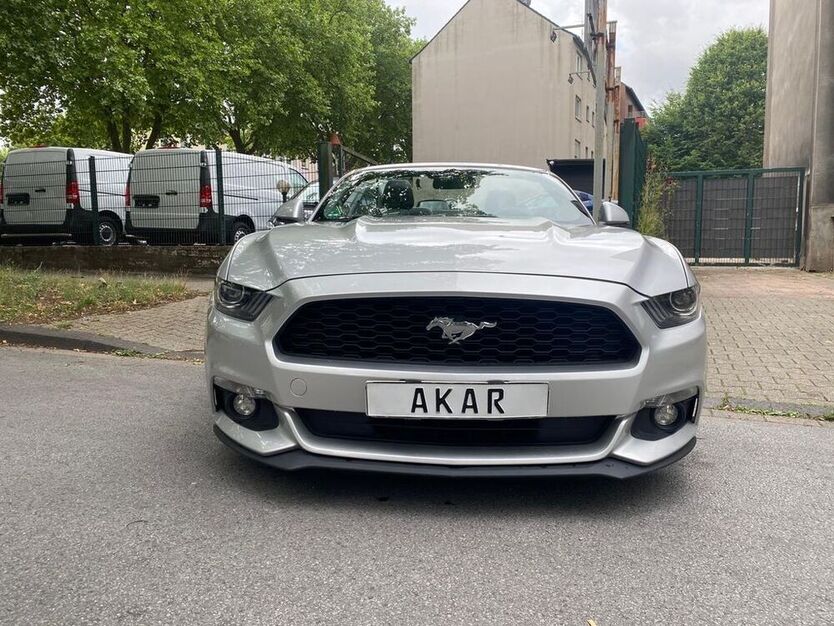 Mustang