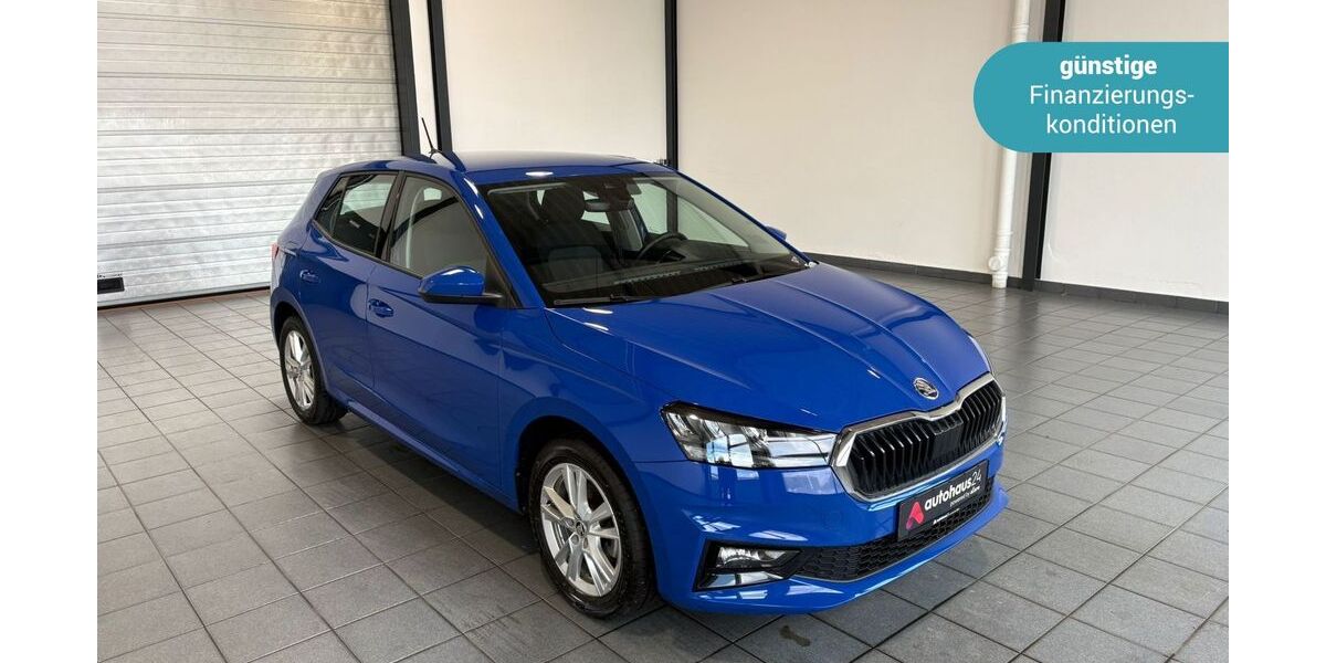 Skoda Fabia 36.105 km 22.590 &euro; Wuppertal 42287