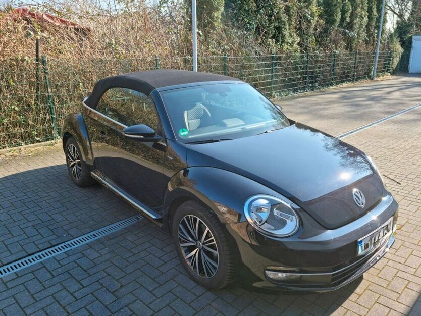 Beetle