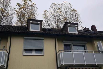 DG Wohnung 2.Etage zimmer