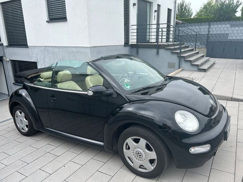 Beetle