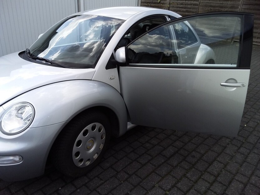 Beetle