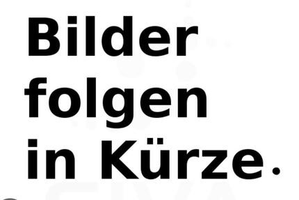 Gewerbe Fläche 1 OG ca 200 m2 zu vermieten zimmer