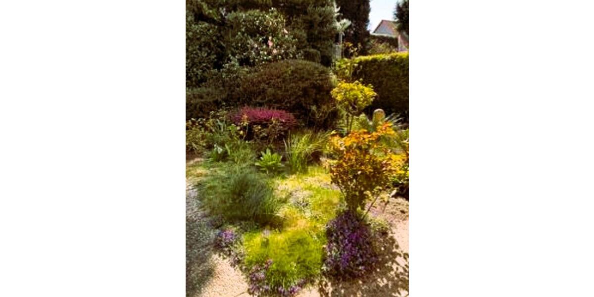 Barrierefreie 3-Zimmer Wohnung mit Terrasse im EG, Bochum-Linden 3 zimmer