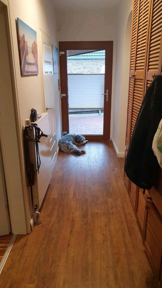 Einfamilienhaus in Ostfriesland Tierhaltung mög Provisionsfrei