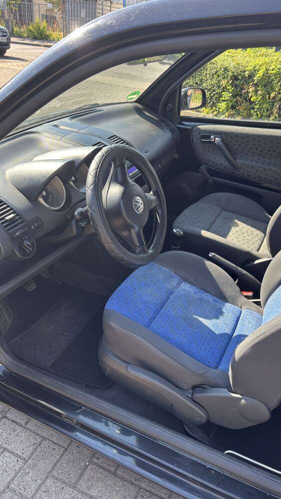 Lupo