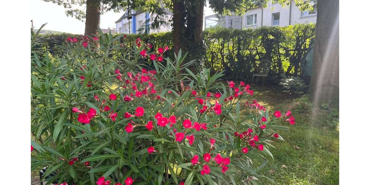 Grundstück Hagen Dahl - 126.500&euro; | Angebot:22440704