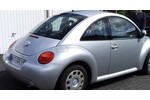 Beetle