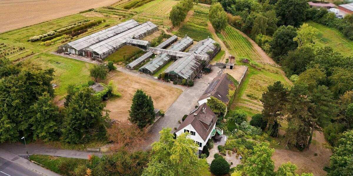 Willkommen im Grünen - Einfamilienhaus mit vielseitigem Grundstück in ruhiger Lage! zimmer