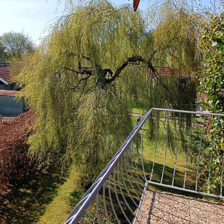 Einfamilienhaus in Ostfriesland Tierhaltung mög Provisionsfrei