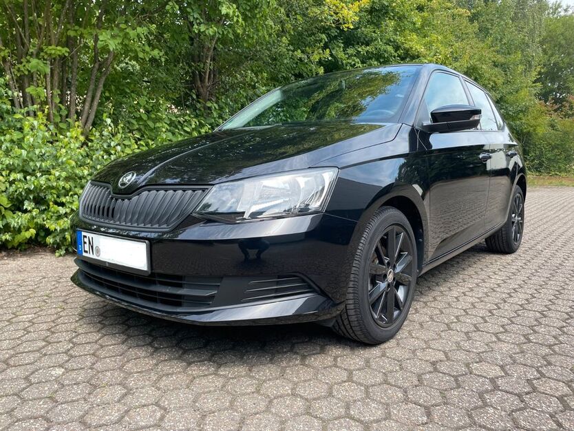 Skoda Fabia 32.023 km 8.700 € Wetter 58300