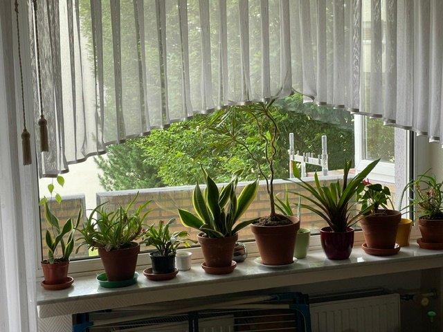 Etagenwohnung Schwerte - 2 Zimmer, 74 m&sup2;, 179.900&euro; | Angebot:27078462