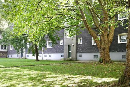 2-Zimmer-Wohnung in Velbert 2 zimmer